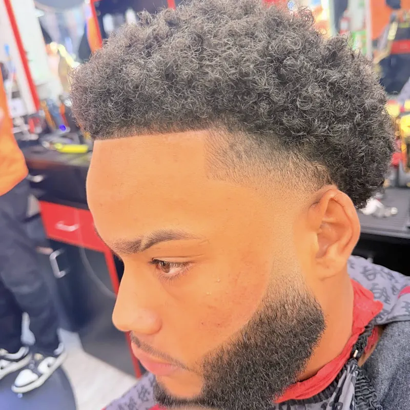 Curly sponge top with a taper fade and lined-up beard